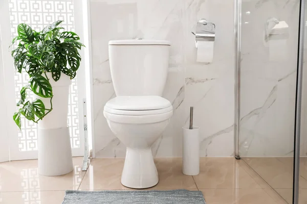 Toilet Sanitization